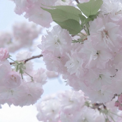 Furry插画创意构思思路福瑞群